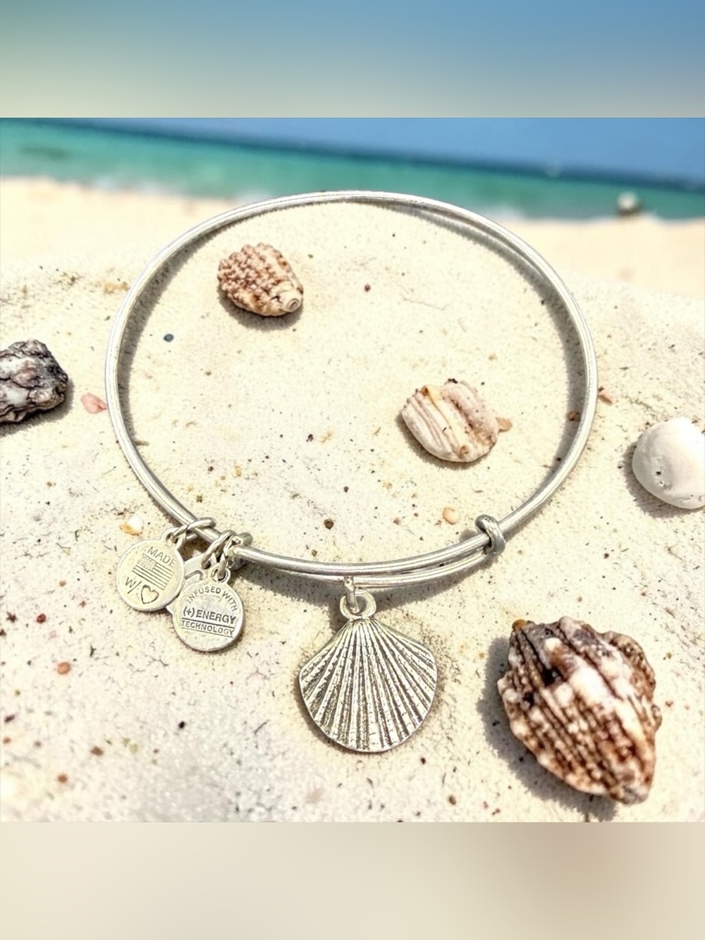 🏷️‼️5/$25🏷️‼️🐚ALEX & ANI🐚Seashell Charm Bangle in Rafaelian Silver/EUC